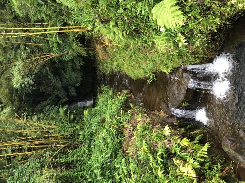 Akaka Wasserfall