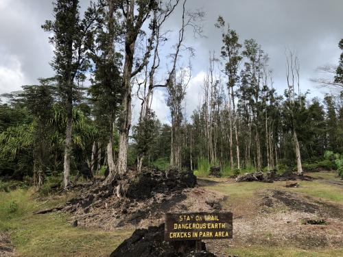 Lava Tree State Park