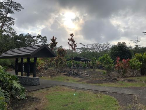 Lava Tree State Park