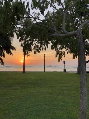 Waikiki Beachpark Sunset