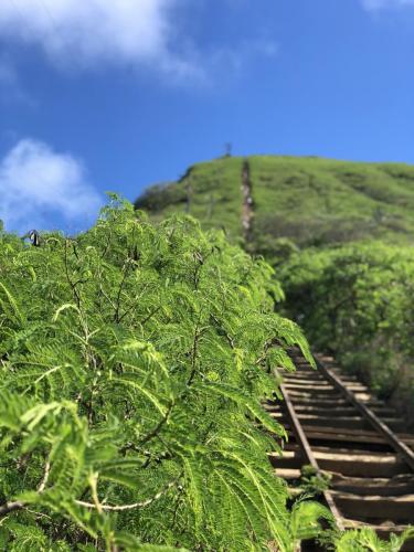 Koko Crater Trail