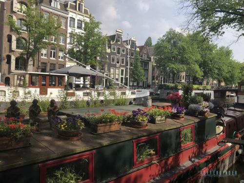 Amsterdam canal