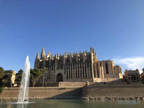 Palma Cathedrale